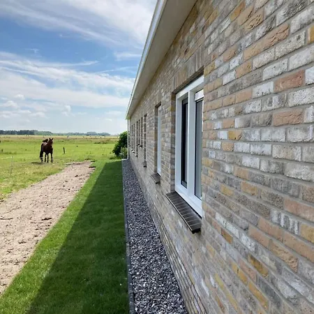 Zonnehoeve Vakantiehuizen Hollum  Exterior photo