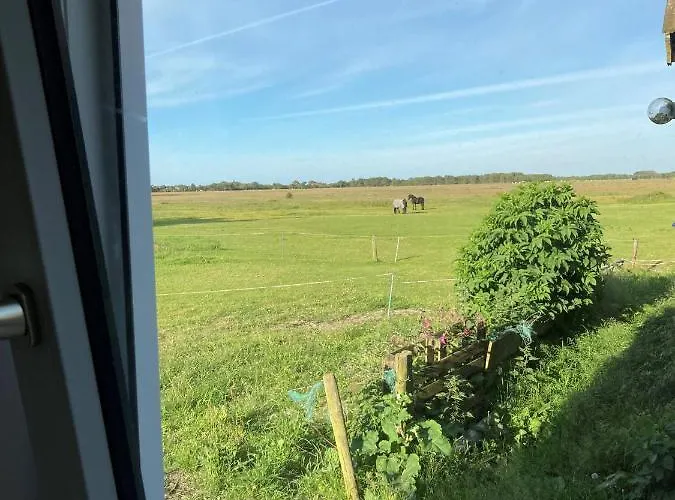 Zonnehoeve Vakantiehuizen